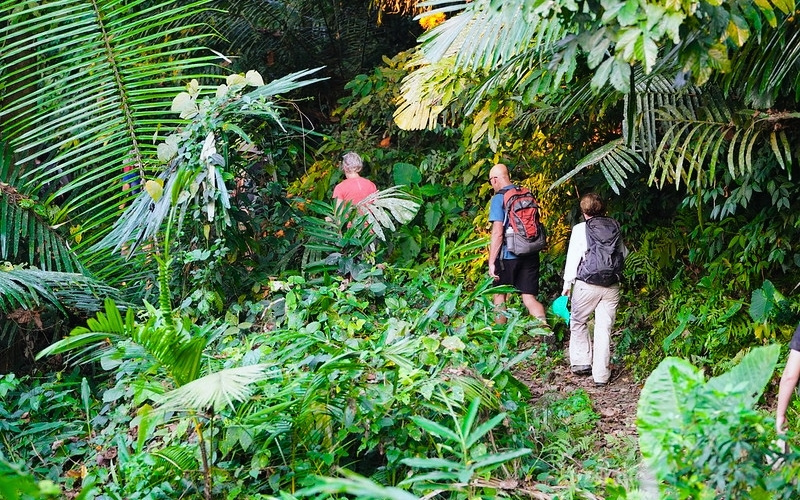 Voyage au Nord du Vietnam