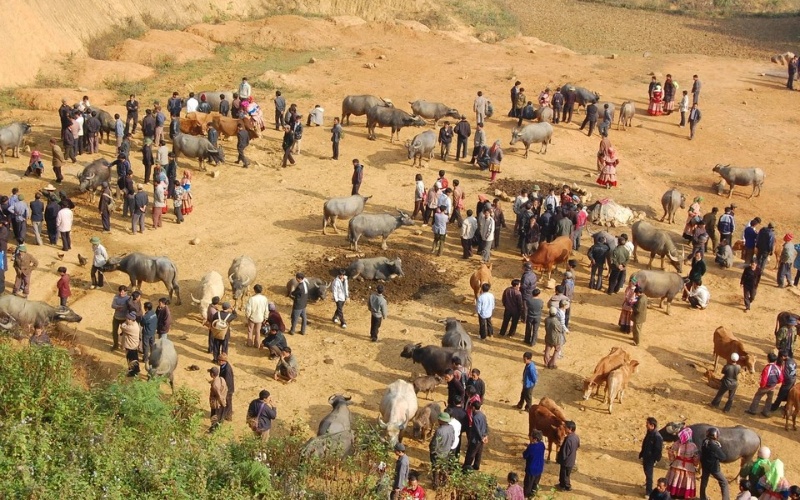 March&eacute; de Can Cau