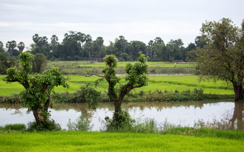 Voyage &agrave; Kampong Chhnang