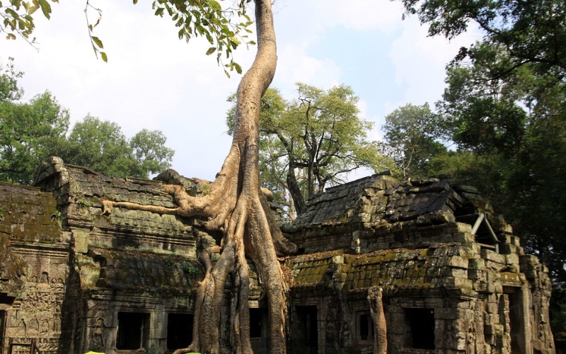 Temples de Siem Reap