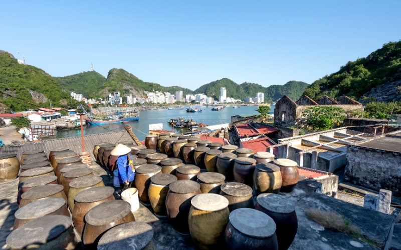 Voyage &agrave; Cat Ba