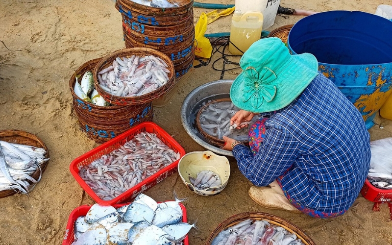 Marchés locaux vietnamiens