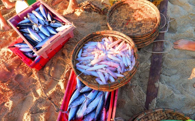 Voyage &agrave; Da Nang