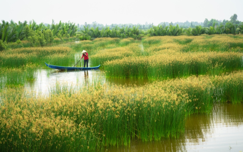 Voyage au delta du M&eacute;kong 