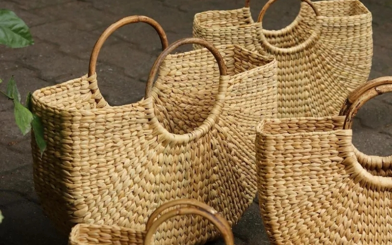 Village bambou Phu Vinh