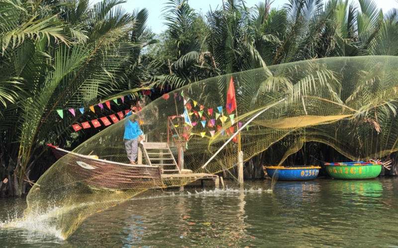For&ecirc;t de cocotiers Hoi An