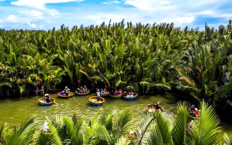 For&ecirc;t de cocotier Cam Thanh
