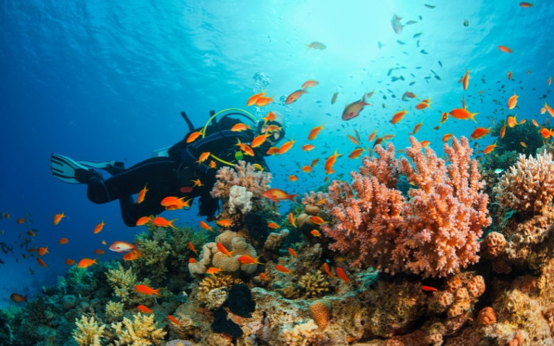 plage &agrave; Hoi An