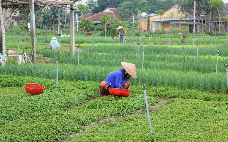 Villages artisanaux à Hoi An