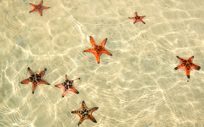 Plages &agrave; Phu Quoc