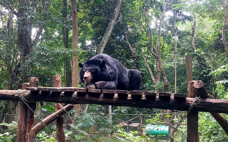 Cascades de Kuang Si