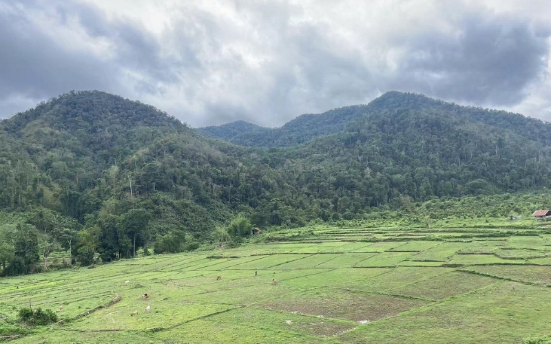 Visiter le Nord du Laos