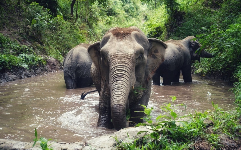 Voyage &agrave; Pakbeng