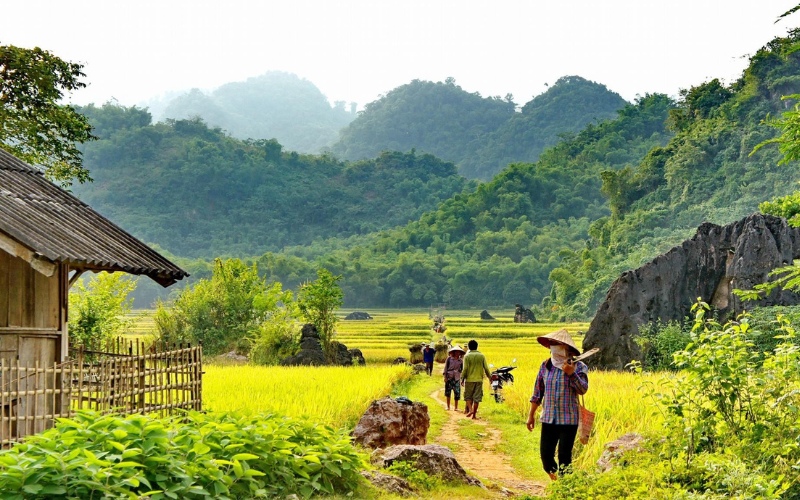 Voyage à Mai Chau