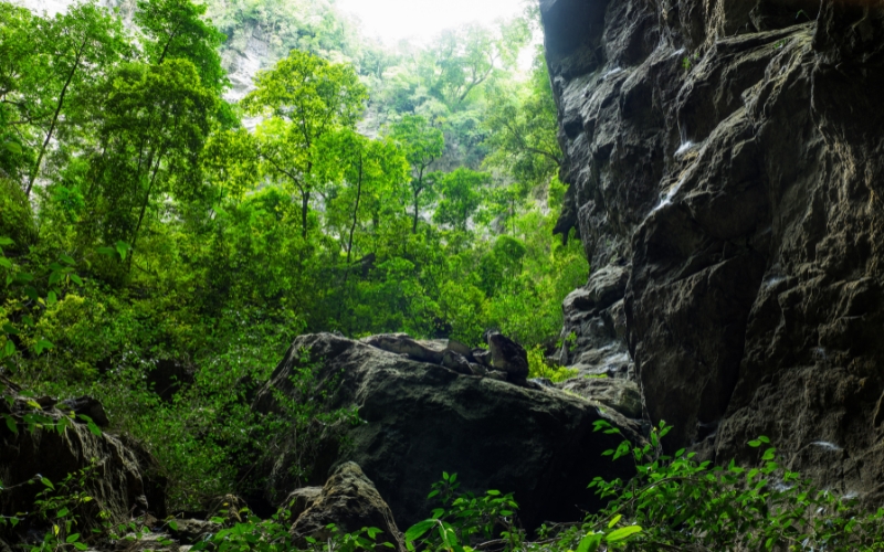 Grotte de Son Doong