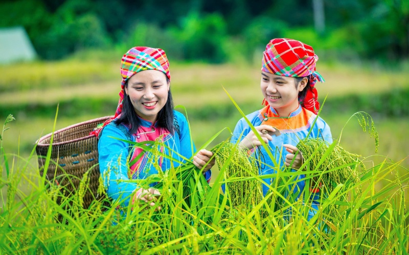 Ethnies minoritaires &agrave; Sapa