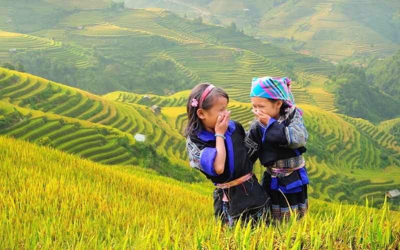 Les ennfants de minorit&eacute;s ethniques sur le rizi&egrave;re en terrasse