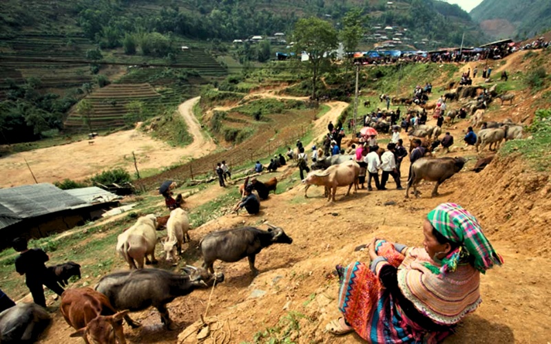 March&eacute; Bac Ha