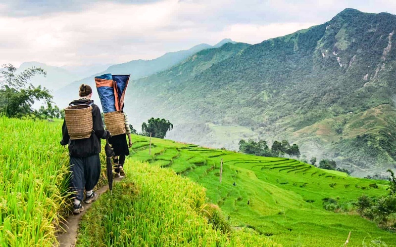 Trekking &agrave; Sapa