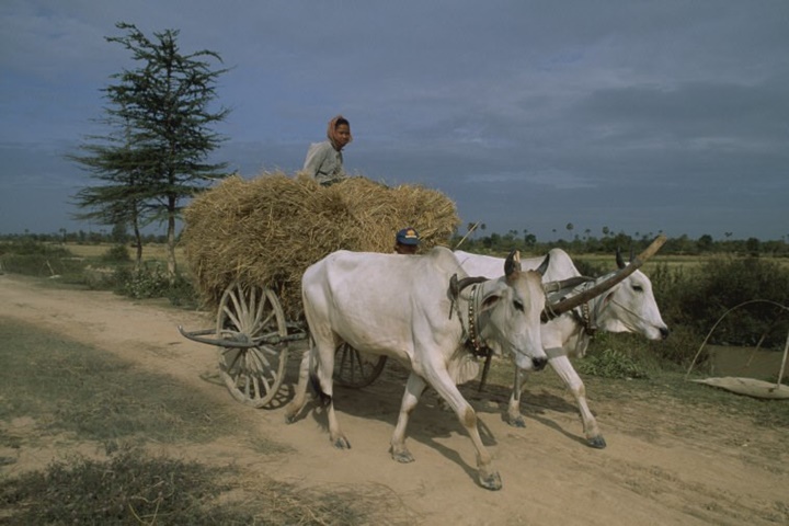 Le Cambodge authentique – 14 jours