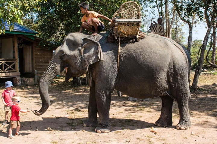 Découverte du Laos en famille – 12 jours