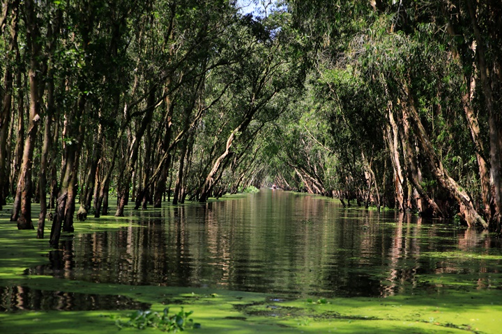 Le delta du Mékong et les temples d’Angkor - 12 jours