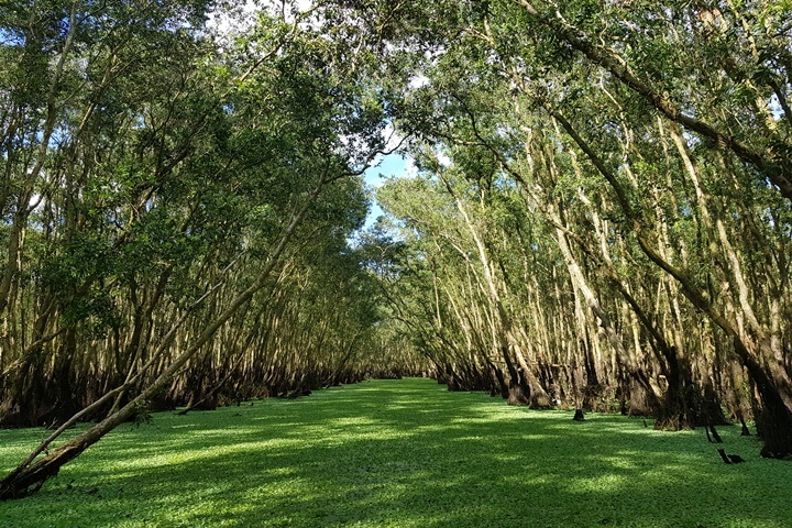 Incontournables du Vietnam et Merveilles d'Angkor - 16 jours