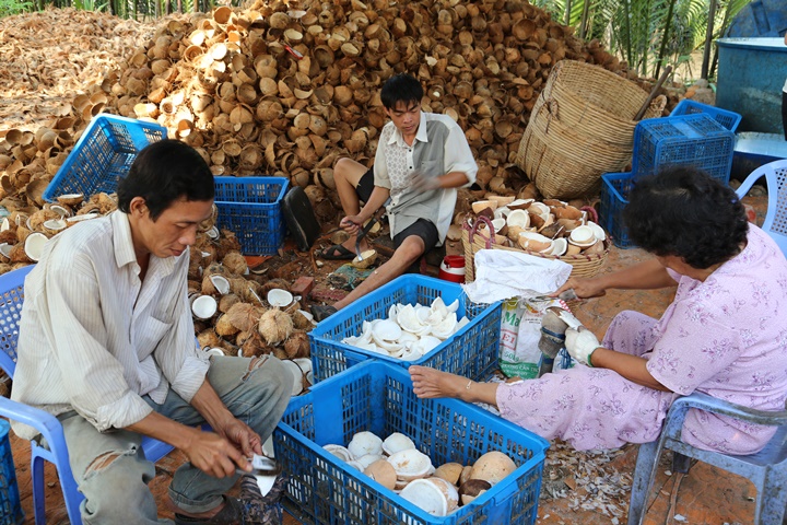 Circuit Mékong – 4 jours