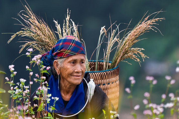 Immersion dans le Grand Nord Vietnam – 16 jours