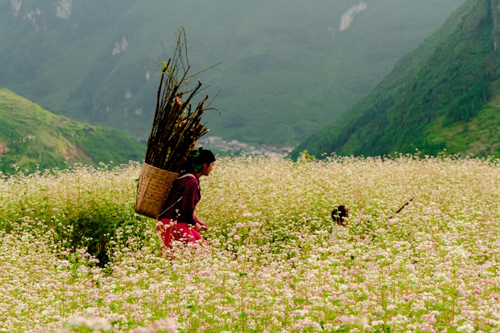 Randonnée Vietnam – 14 jours