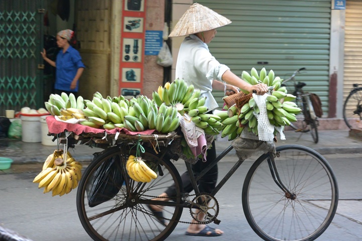 Circuit Vietnam – 10 jours