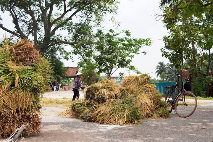 Découverte du Nord Vietnam – 6 jours
