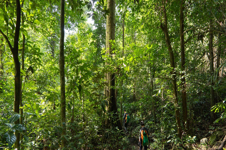 Trekking dans le Nord-Ouest Vietnam et la baie d’Halong – 11 jours