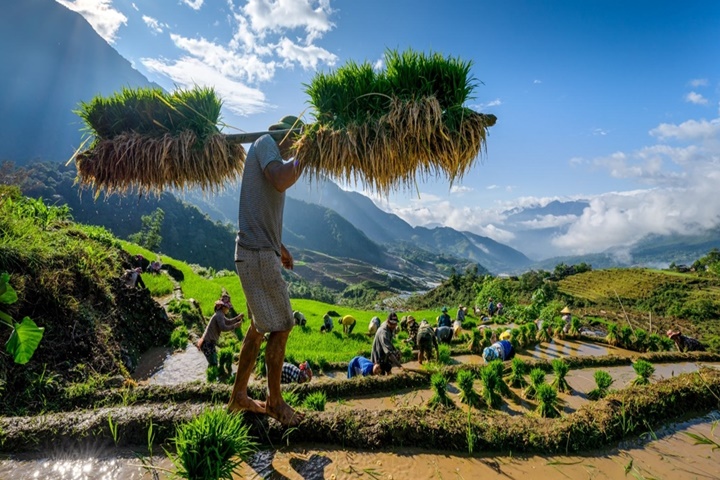 Circuit Vietnam - Laos - Cambodge - 18 jours