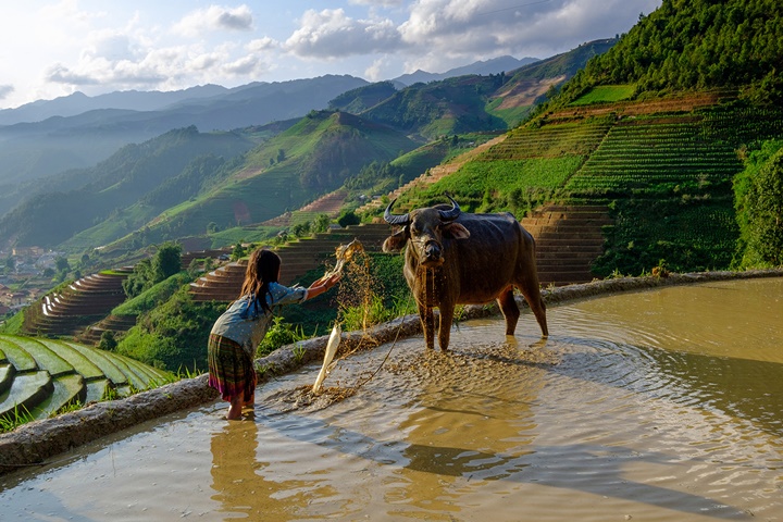 Le Vietnam authentique – 19 jours