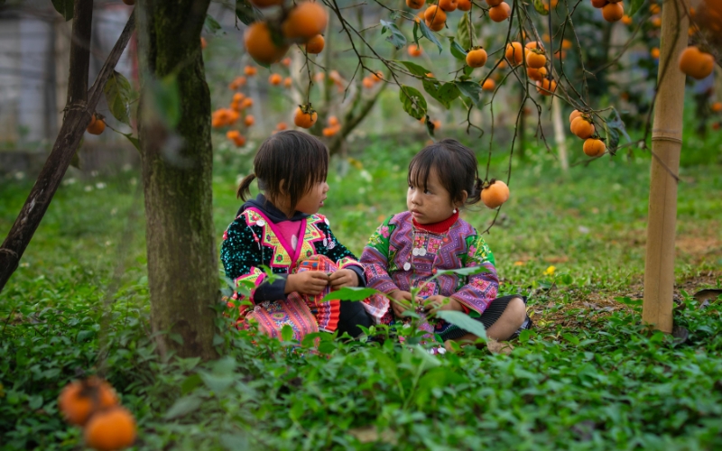 Peuple H’Mông au Vietnam : traditions, culture et artisanat uniques