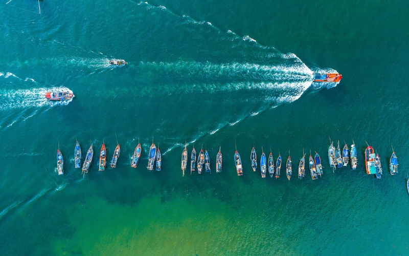 Marchés de fruits de mer au centre du Vietnam