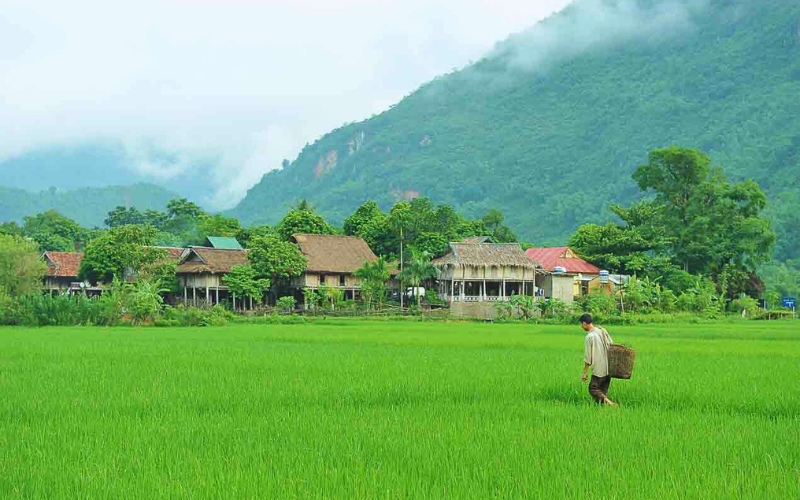 Top 7 expériences à Mai Chau ne pas manquer
