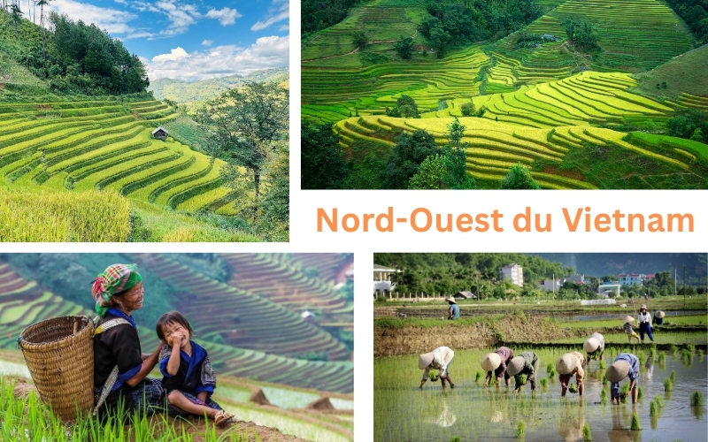 Que voir et faire au Nord-Ouest du Vietnam ?