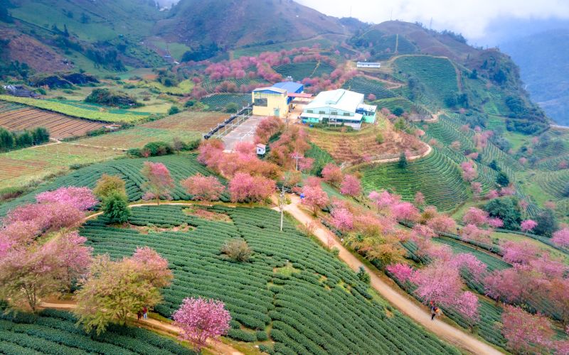 Voyager au Vietnam en février : climat et idées de voyage