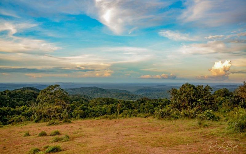 Mondolkiri : à la découverte de la jungle sauvage du Cambodge