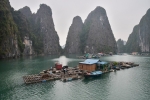 Immersion dans le Grand Nord Vietnam – 16 jours