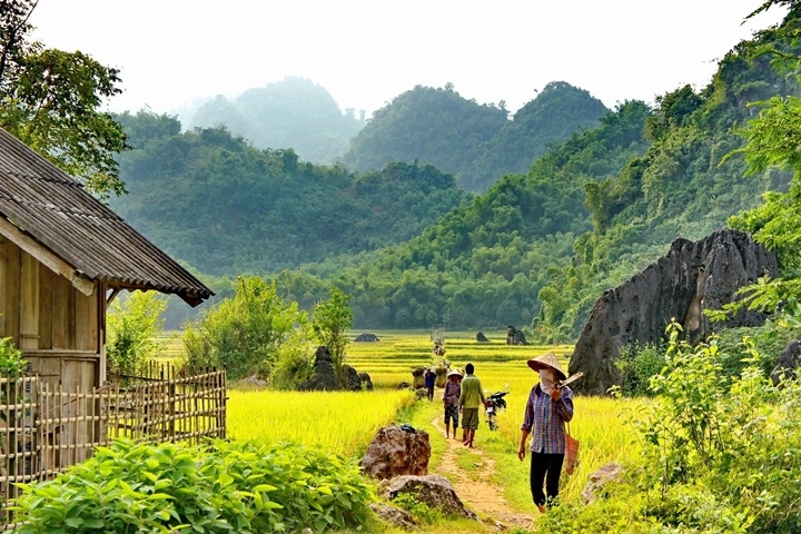 Circuit Vietnam 3 semaines – 21 jours