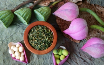Thé au Vietnam : culture, lotus, jasmin et rituels