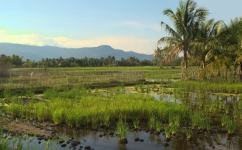 Que faire à Kampot ? Découvrez cette destination paisible et pleine de charme au sud du Cambodge