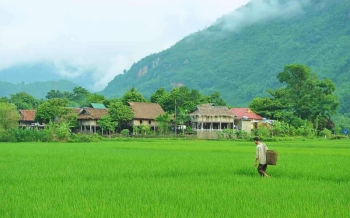 Top 7 expériences à Mai Chau ne pas manquer