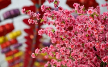 Voyager au Vietnam pendant le Têt : conseils pratiques