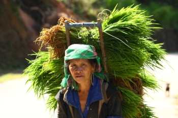 À la rencontre de l’ethnie des Thaï au Vietnam